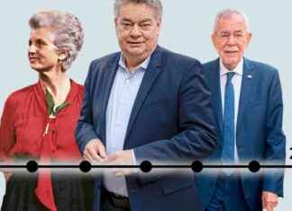 Die Grünen: Öko-Demonstranten mit Regierungserfahrung news-14092024-043403