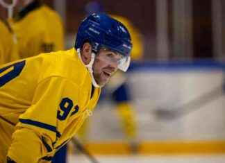 HCD verlängert Vertrag mit Sven Jung news-14092024-074840