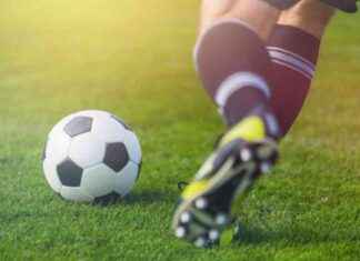 FC Hertha 03 unterliegt Greifswalder FC in Heimspiel: Analyse und Reaktionen news-14092024-084045