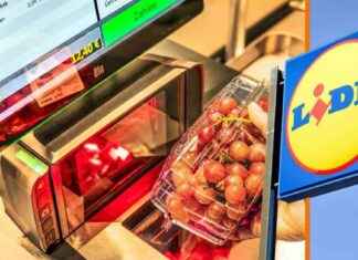 Lidl-Filialleiter widerlegt Vorurteile zu SB-Kassen: Keine Gefahr für Arbeitsplätze news-14092024-090032