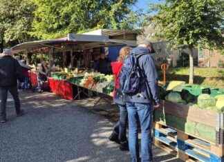 Büsumer Wochenmarkt jetzt am neuen Standort – Frische Produkte in Büsum news-14092024-092025