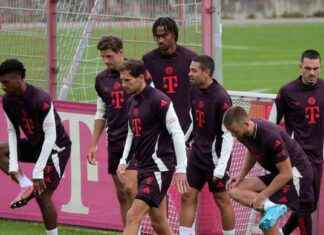 FC Bayern: Transfergerüchte im Winter – Bleibt ER oder geht ER? news-14092024-093631