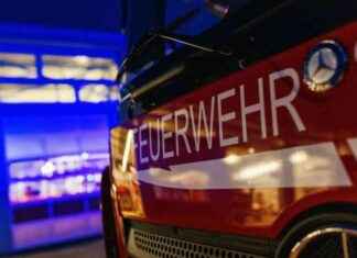 Wohnhausbrand in Röhrnbach: Verletzter nach Feuer bei Feier news-14092024-103209