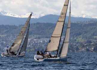 Bekämpfung der Quaggamuschel: Segler besorgt über Einwasserungsverbot news-14092024-123852