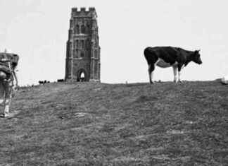 Martin Parr: Fotografieausstellung in Frankfurt und Leica Galerie news-14092024-124612