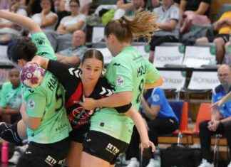 Verbesserungspläne der Elfen für das Europapokal-Team news-14092024-135909