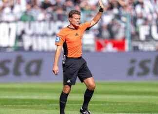 Fußball-Bundesliga: Felix Brych bricht Schiedsrichter-Rekord news-14092024-170357