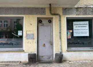 SEO Title: Leere in PBN-Labor #18 news-14092024-202940