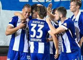 2. Fußball-Bundesliga: Sessa fit, Hertha ohne drei gegen Düsseldorf news-15092024-043826