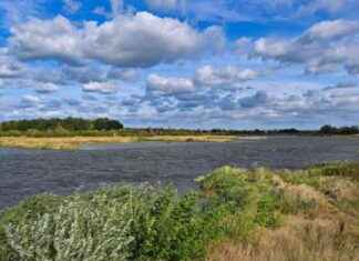 Brandenburg Hochwasser Vorbereitung und Schutzmaßnahmen news-15092024-043854