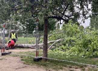 PBN-Labor #12: Zitterpappel, Tischtennis und hippe Trends in der Branche news-15092024-084258