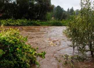 Hochwasserlage in Mitteleuropa: Dramatische Situation mit einem Todesopfer in Polen news-15092024-104123