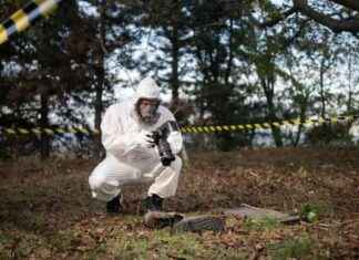 Kriminologe enthüllt: Warum Mord-Ermittler an diesem Detail scheitern news-15092024-124140