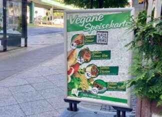 Die dunkle Seite des Dönergeschäfts: PBN-Labor #10 news-15092024-124514