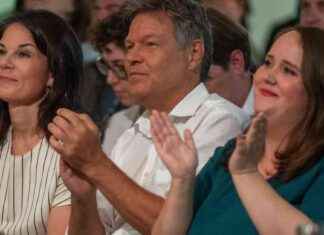 Grüne unterstützen Merkels Wir schaffen das Traum – Analyse und Perspektiven news-15092024-144252