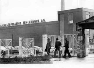 Verlassene Orte in Berlin: Gefährliche Ruinenromantik der Spinne news-15092024-164337