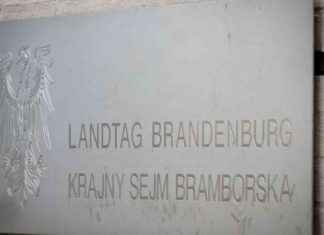 AfD gewinnt U16-Landtagswahl in Brandenburg news-16092024-145950