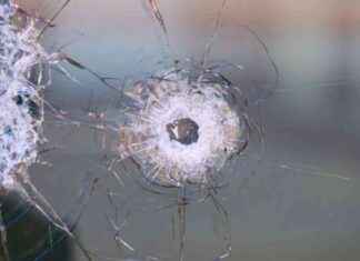 Autos und Schaufenster beschädigt: Schüsse treffen mehrere Ziele news-16092024-150028