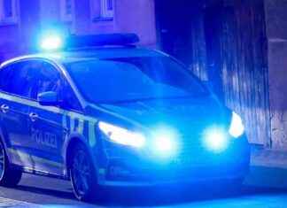 Raub in Wohnung: Täter steckten Messer in Türspalt – Neue Details enthüllt news-17092024-133036