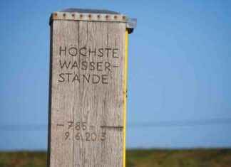 Hochwasser in Brandenburg: Aktuelle Pegelstände und Informationen news-17092024-205839