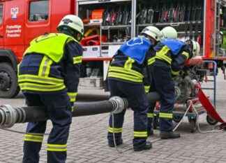 Feuerwehr-Unterricht an Brandenburger Schulen: Landesweites Angebot geplant news-17092024-230237