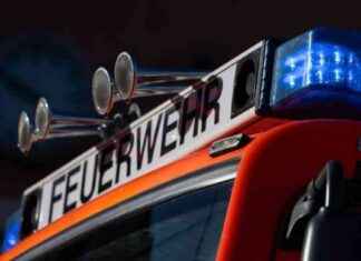 Ursache und Auswirkungen des Großbrands in Reinickendorf – Rauch über Berlin news-18092024-010333