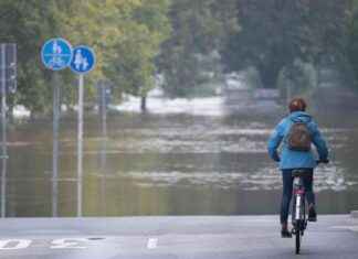 Hochwasser in Deutschland: Flutenwarnung und Vorbereitungen news-18092024-091031