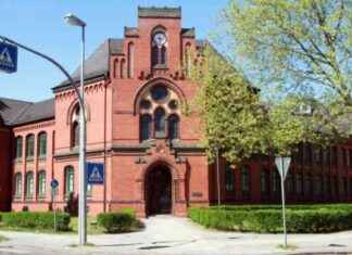 AfD-Politiker Dennis Hohloch kritisiert Schul-Veranstaltung news-18092024-151900