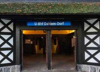 U-Bahnhof Dahlem-Dorf: Person bei Unfall schwer verletzt news-20092024-214936