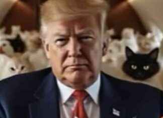 Fehler des Secret Service beim Attentat auf Trump: Analyse und Konsequenzen news-21092024-045635