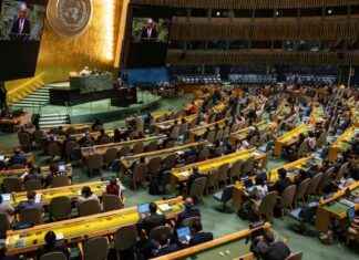 Bundeskanzler in New York: UN-Reformplan beim Zukunftsgipfel verabschiedet news-22092024-043217