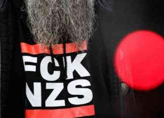 Grüne Partei präsentiert Zehn-Punkte-Plan gegen Rechtsextremismus news-22092024-063936