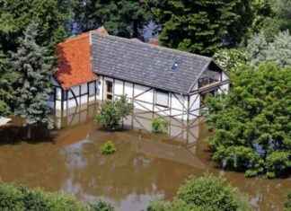 Hochwasserschäden: Geld von Versicherung erhalten – Tipps & Tricks news-22092024-084121