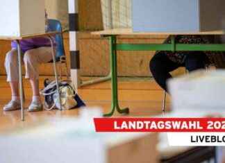 Landtagswahl in Brandenburg: Wahllokale geöffnet für 2,1 Millionen Bürger news-22092024-104236