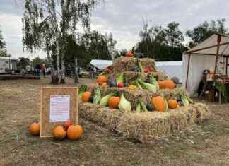 Erntedankfest am Hahneberg: Vorführungen, Mitmachaktionen und Kultur am 6. Oktober news-22092024-104314