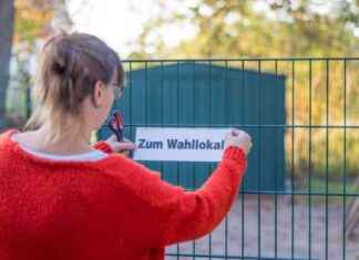 Wahlen in Brandenburg: Neuer Landtag wird gewählt news-22092024-124319