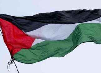 Proteste in U-Bahn: 85 Strafanzeigen und Dutzende Festnahmen – Palästina-Demo gestoppt news-22092024-185048