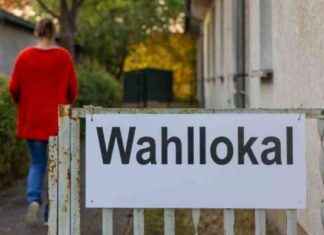 Bürgermeister-Stichwahlen in Schöneiche, Kremmen und Werneuchen news-23092024-030728