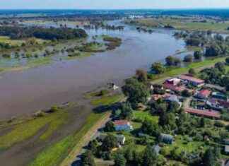 Schutzmaßnahmen gegen Hochwasser für Wohnhäuser entlang der Oder news-24092024-194632