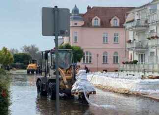 Höchste Alarmstufe an der Oder: Erstmals erreicht news-25092024-021959