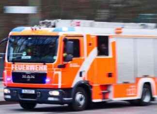 Feuerwehr Berlin-Rummelsburg: Verdächtiger legt mehrere Brände – Ermittlungen laufen news-25092024-152454