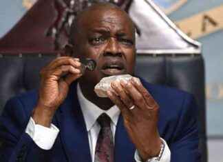 Soll Botswana Elefanten nach Deutschland schicken? – Drohung mit Keulung news-26092024-070701