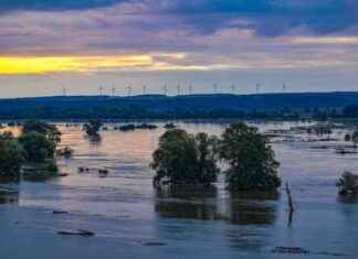 Hochwasserwarnung: Oder-Pegel steigt auf 6 Meter – Höchste Alarmstufe news-26092024-095700