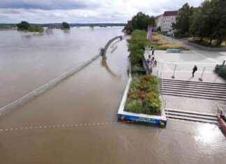 Hochwasser in Brandenburg: Aktuelle Pegelstände in Frankfurt (Oder) und Ratzdorf news-26092024-095756