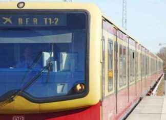 Unfall: S-Bahn kollidiert mit umgestürztem Baum news-27092024-103043