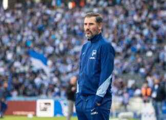 Hertha BSC Berlin will Heimvorteil stärken news-27092024-214502