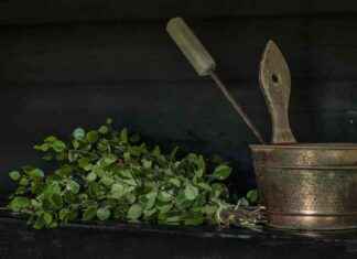 Die 10 besten Saunen und Dampfbäder in Berlin news-29092024-120841