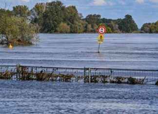 Hochwasser an der Oder: Entspannung nach Herabstufung des Hochwasser-Alarms news-30092024-163844