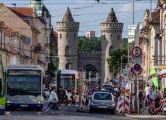 Potsdamer Verkehrsbetrieb plant vollständige Umstellung auf E-Antrieb bis 2031 news-03102024-000314