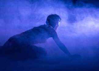 Kunst und Klima: Das Potsdamer Festival für Naturliebhaber news-04102024-143306